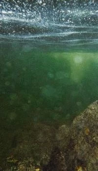 Подводные камни бесплатных микрозаймов онлайн